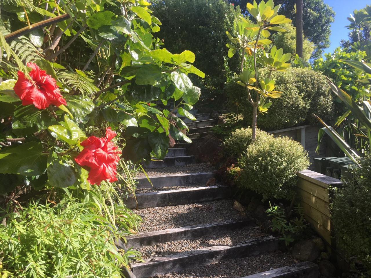 Fantail B&B Tairua Zewnętrze zdjęcie